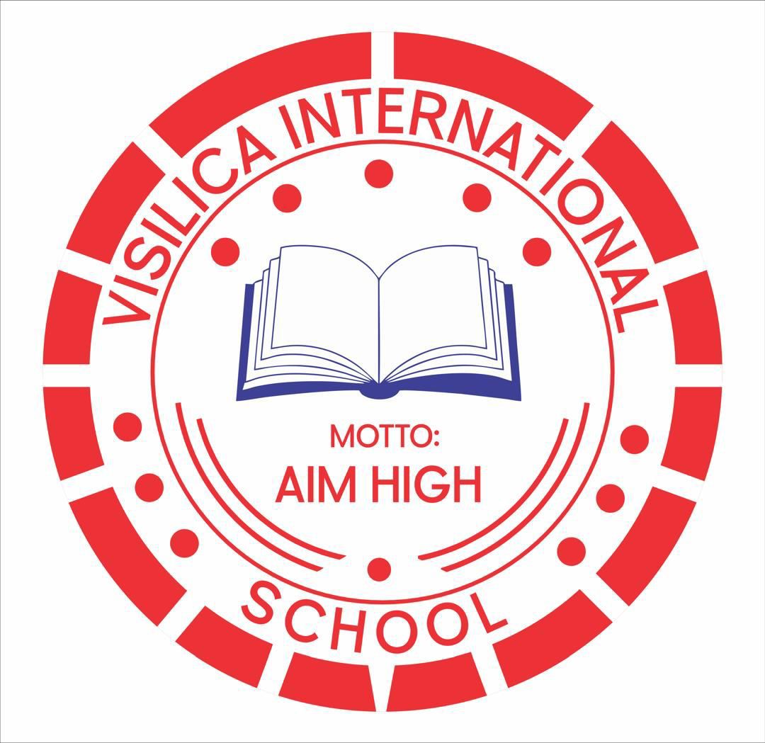 Visilica International School Logo